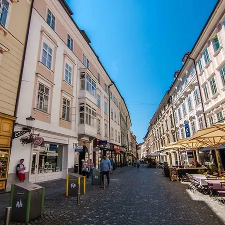 Elegant アパート *