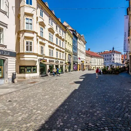 アパート Elegant